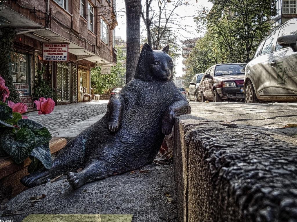 ααΆαααααααΆαααααΆαααα: ααααααΆαααΌαα
αα·αααΆααααααΆαα