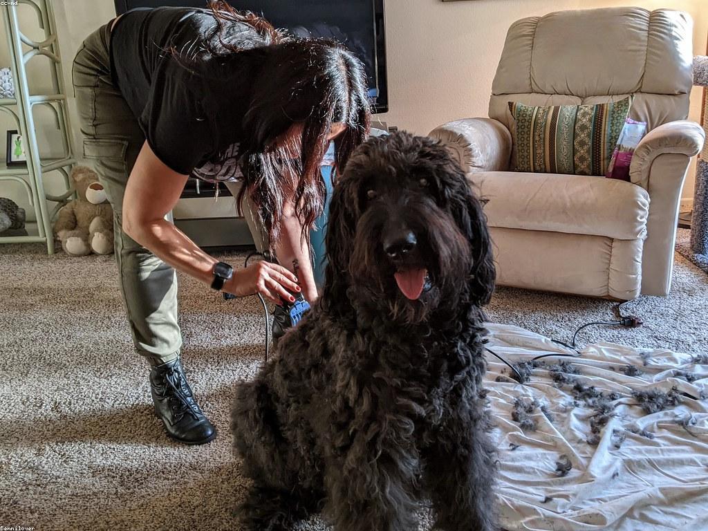 សារៈសំខាន់នៃការទំនាក់ទំនង